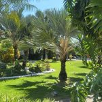WhatsApp Image 2026-05-26 at 2.38.10 PM (1)